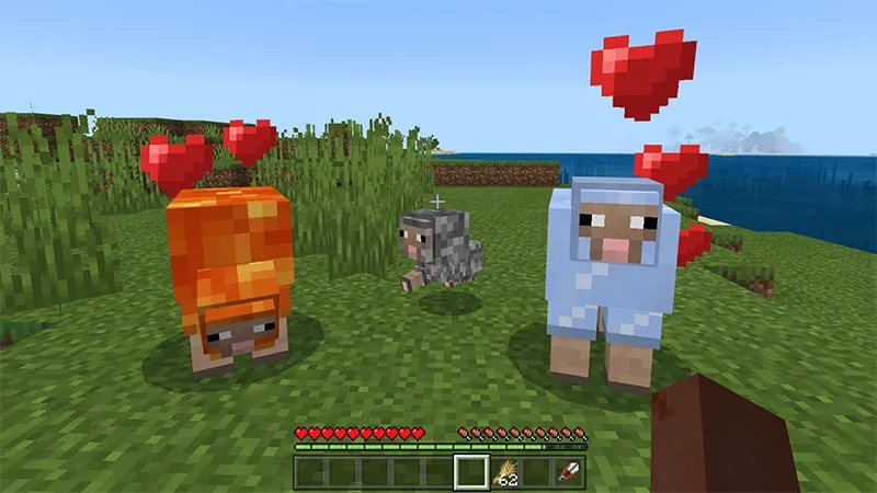 Sheep+