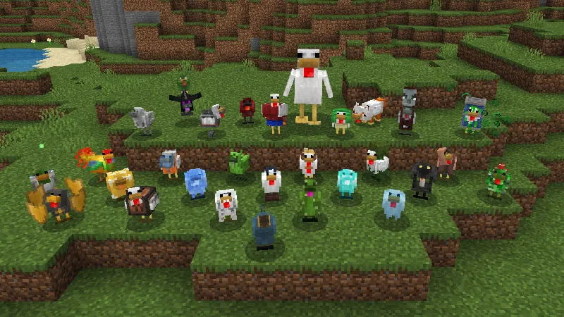 Chickens Plus Add-On