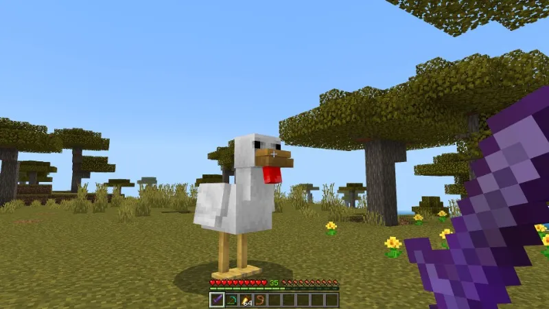Chickens Plus Add-On