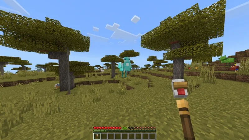 Chickens Plus Add-On