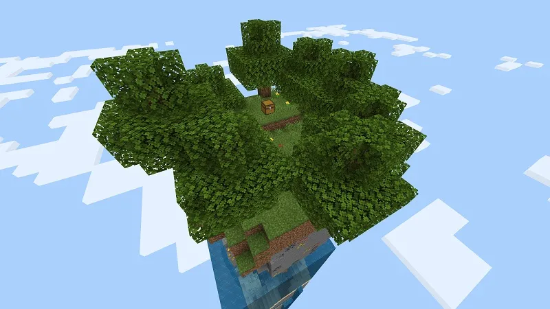 Skyblock One Chunk