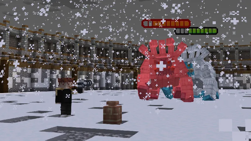 Winter Arena