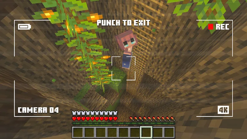 Millionaire Treehouse