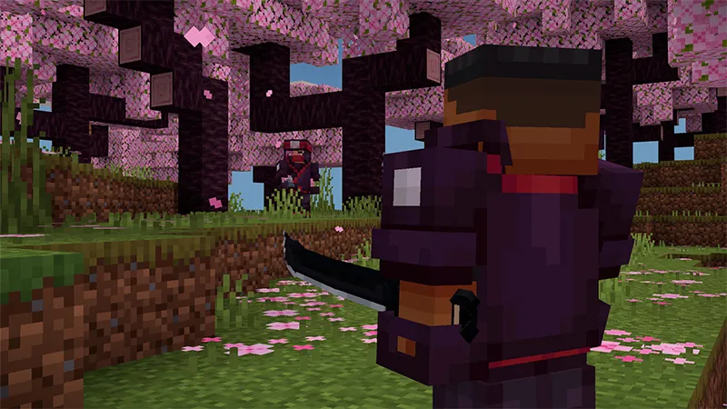 Ninja Weapons