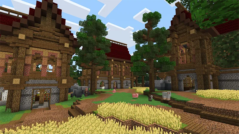 Castle Village