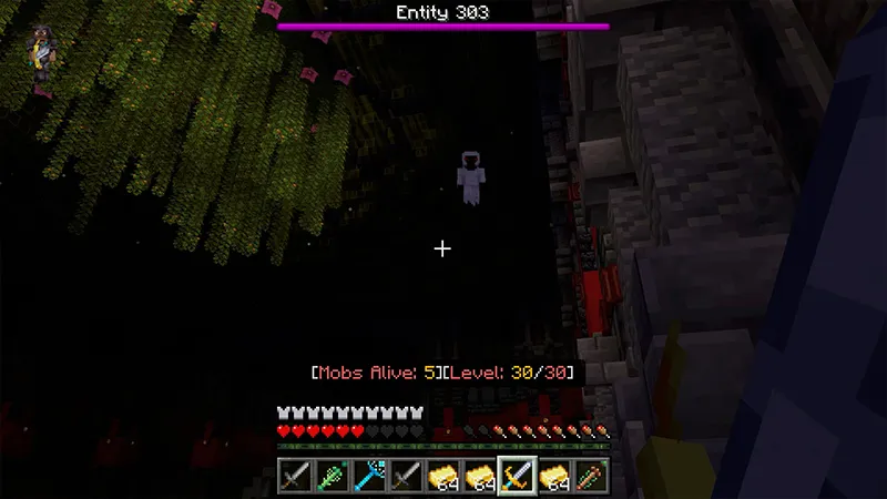ENTITY 303
