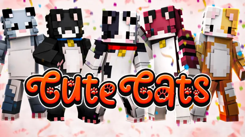 Cute Cats