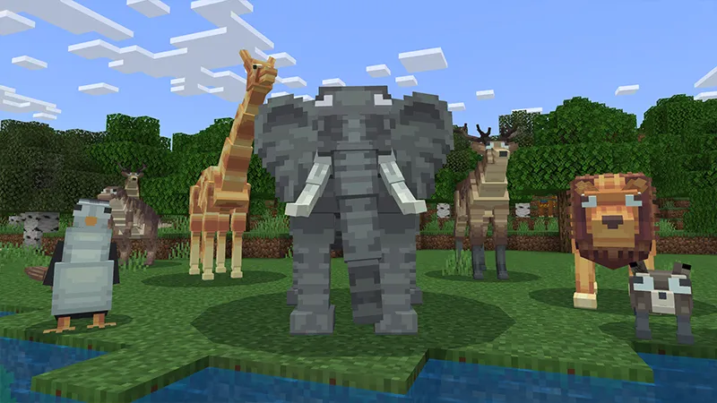 WACKY ANIMALS