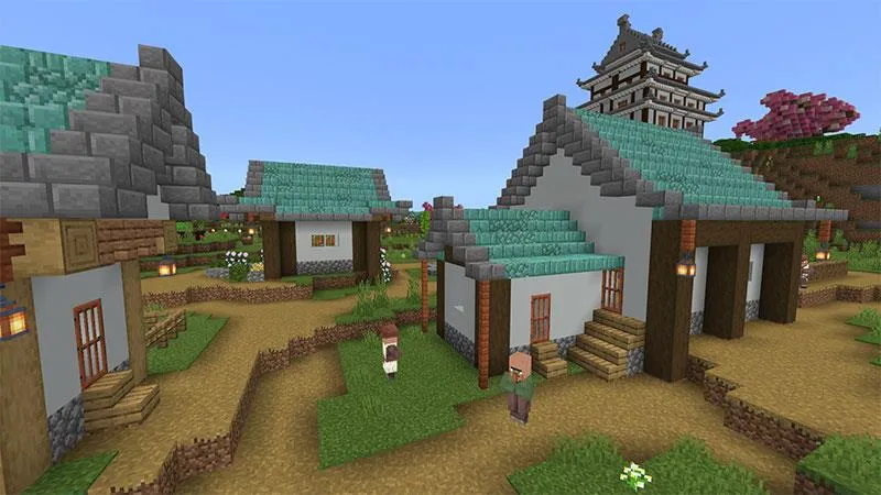 Ninja Village