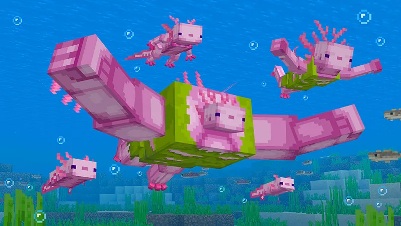 Axolotl Evolve
