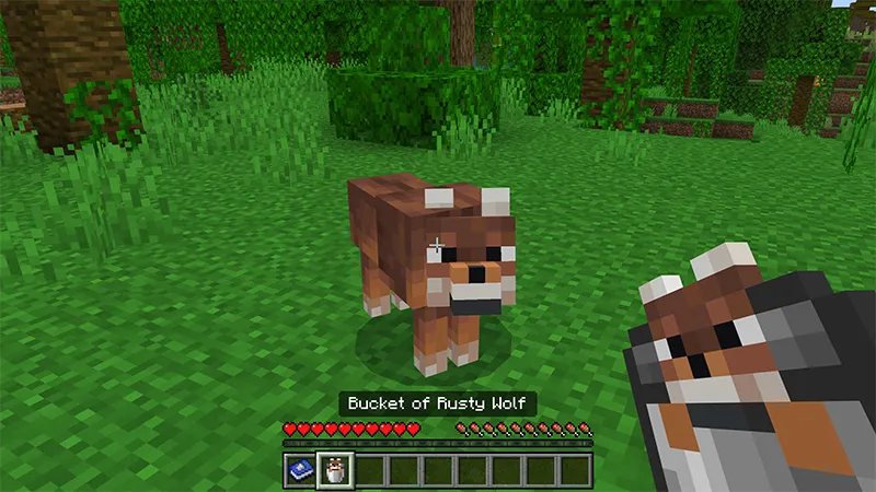 Buckets+ Add-On