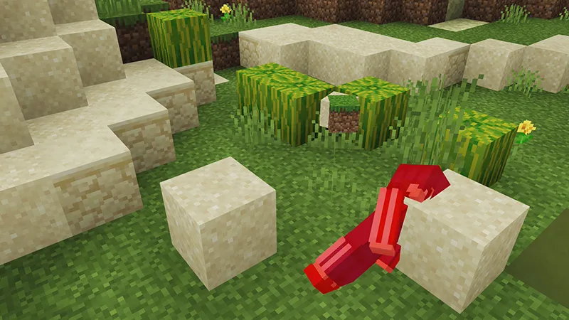 DON’T Touch GRASS!