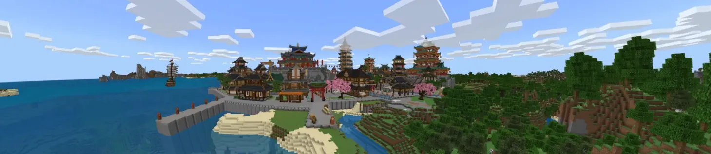 Ninja City