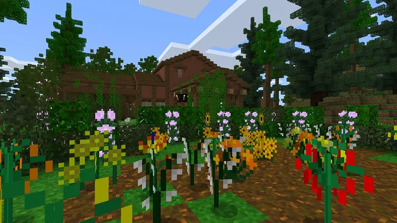 PLANTS!