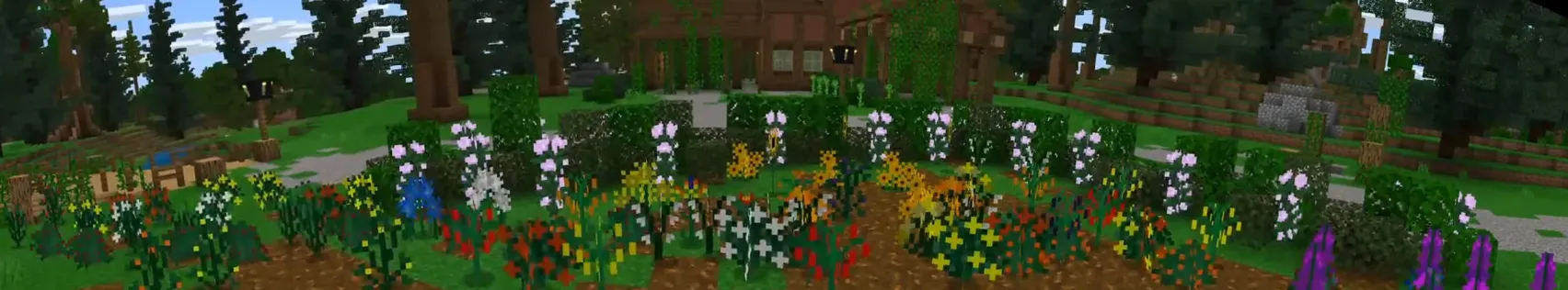 PLANTS!