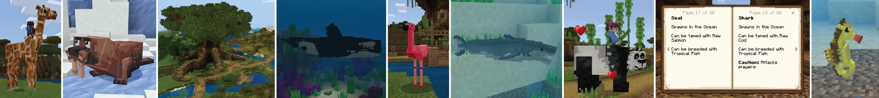 Animals Expansion