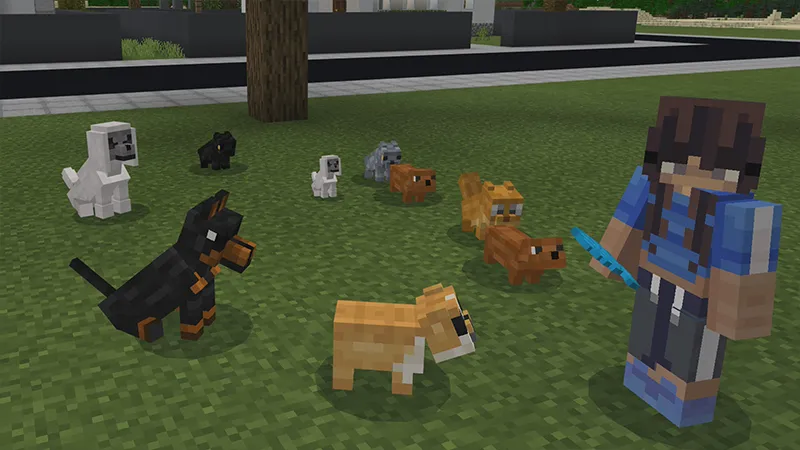 PETS!