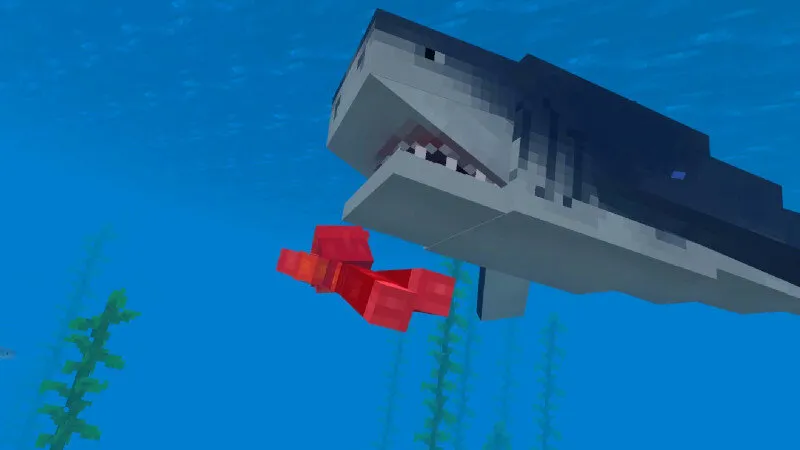 Sharks Survival
