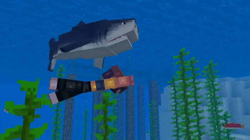 Sharks Survival