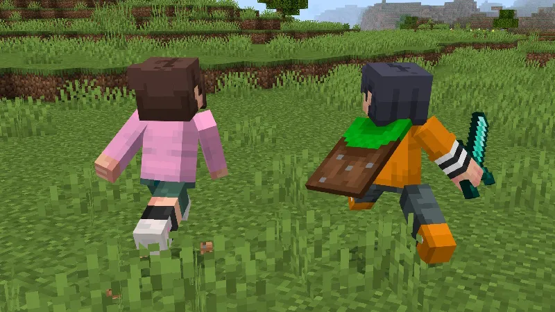 Player Animations Add-On