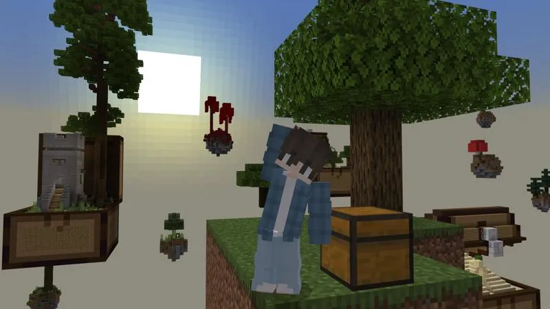Chest Skyblock