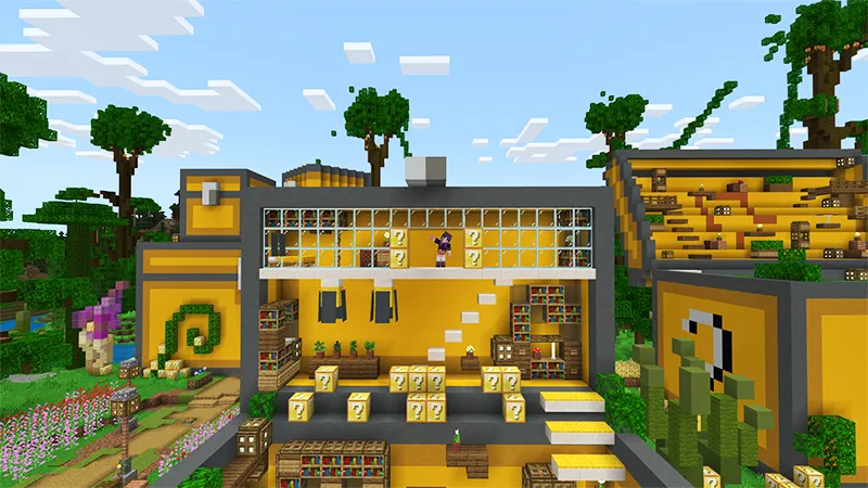 Jungle Chest City