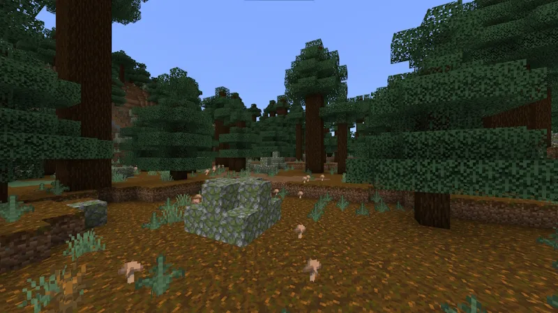 Secret Underground Base