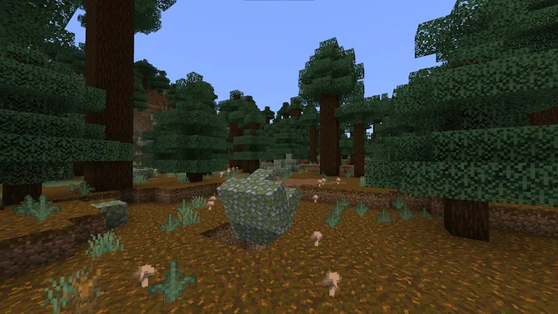 Secret Underground Base