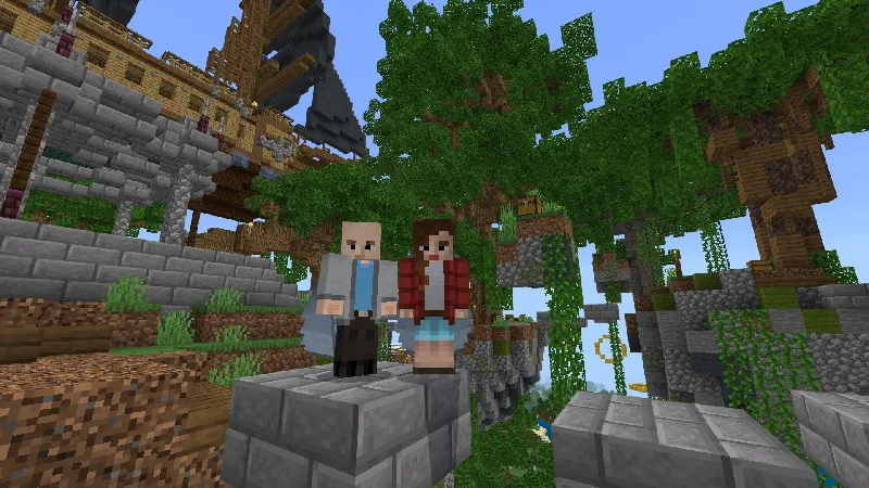 Elytra Sky