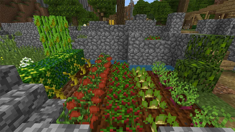 Pam's HarvestCraft: Summer