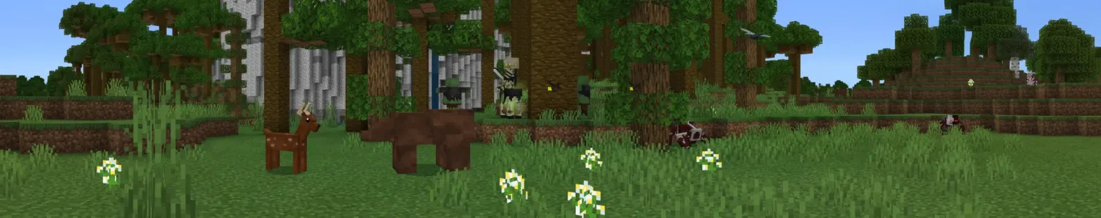 Survival+