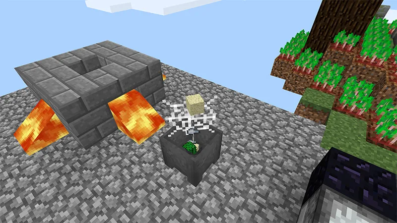 The Alchemist Evolved