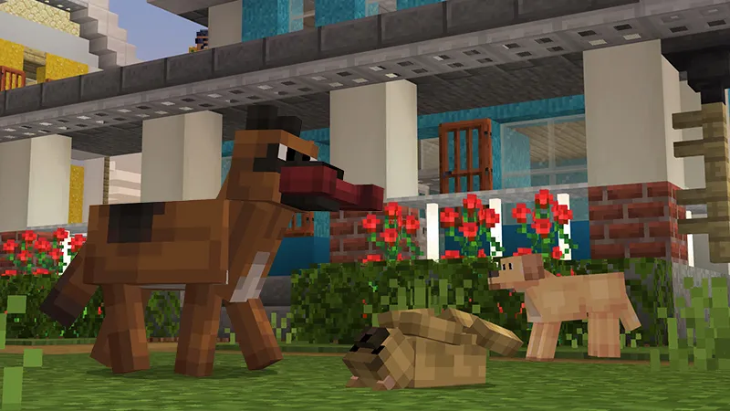 Pets 2