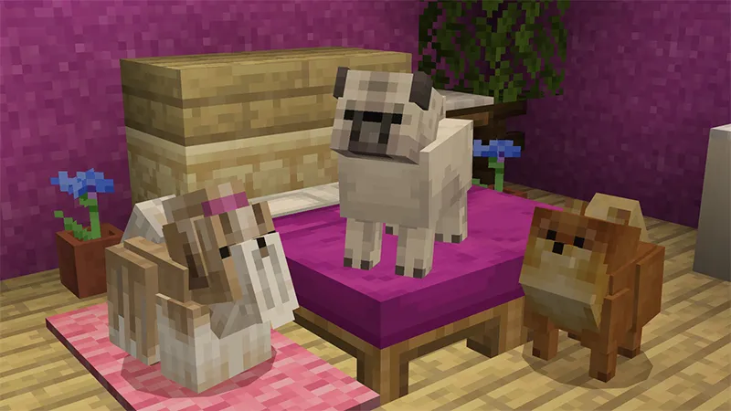 Pets 2