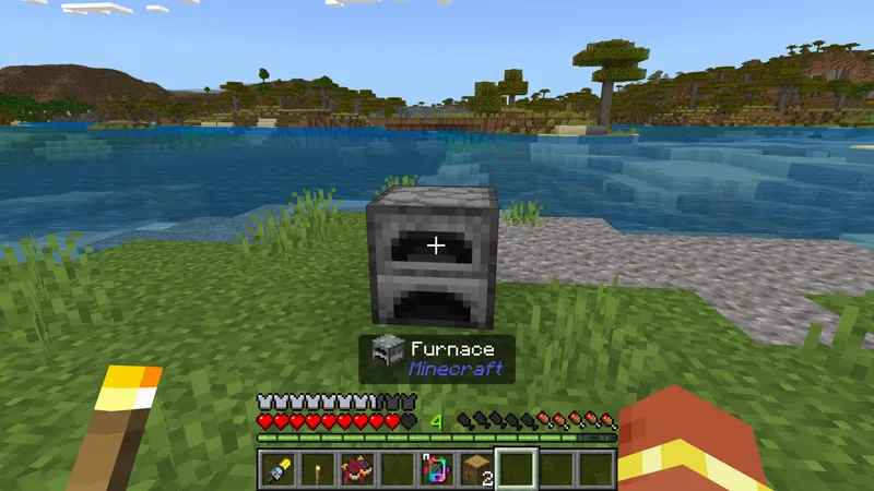 ESSENTIALS SMP! ADD-ON