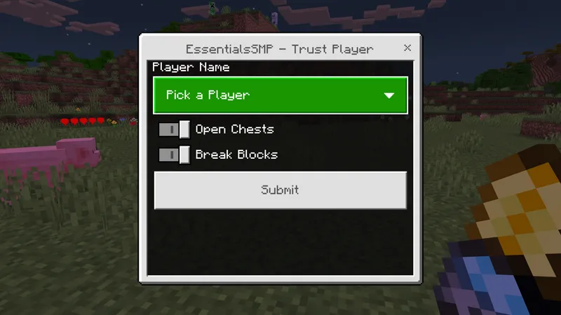 ESSENTIALS SMP! ADD-ON