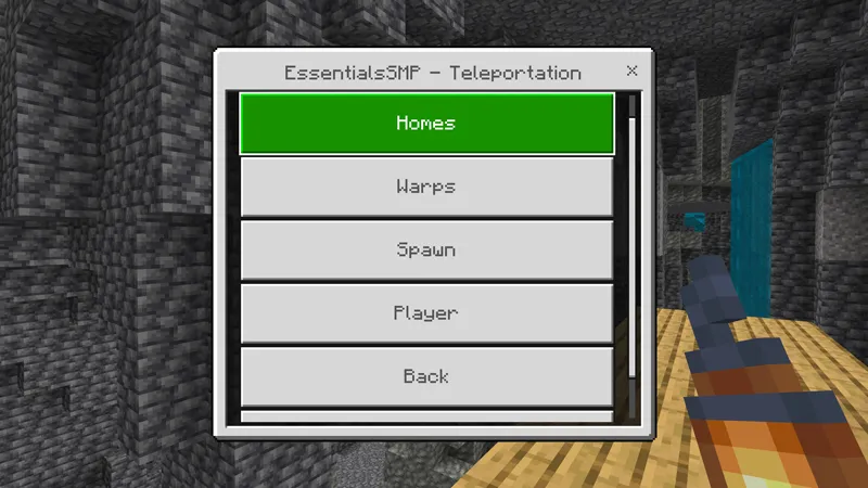 ESSENTIALS SMP! ADD-ON