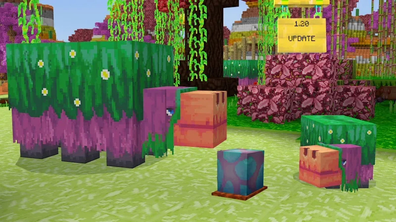 Rainbow Craft