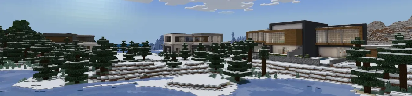 Millionaire Winter Mansions