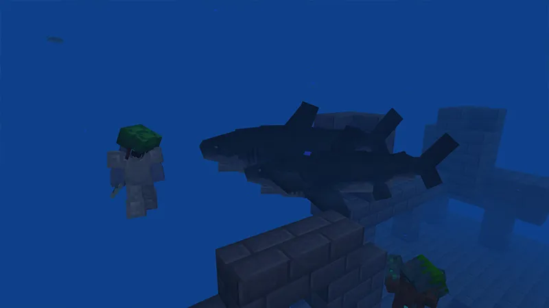 Sharks Survival!