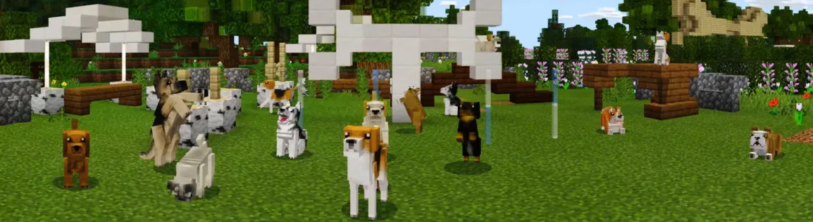 Pets: Dogs