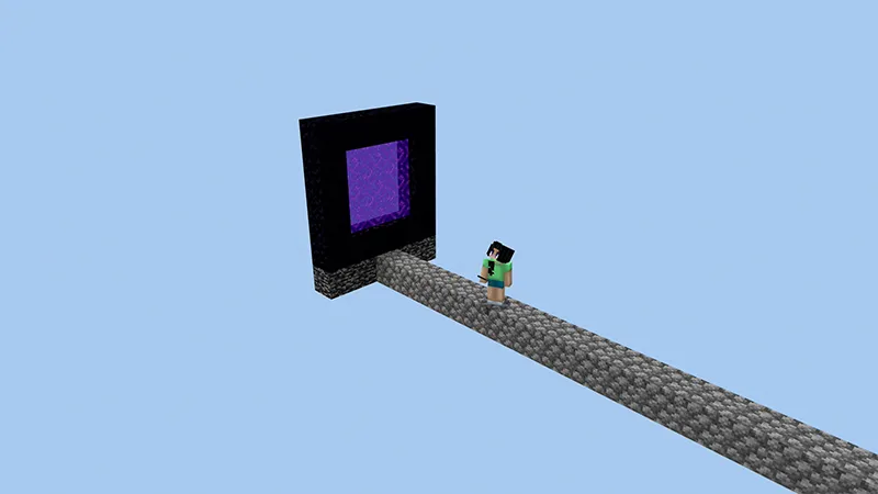 SKYBLOCK 100 Days!