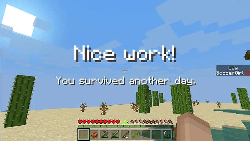 SKYBLOCK 100 Days!