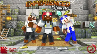 Experienced Miners