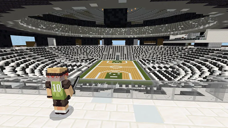 Skyblock Sports Arena