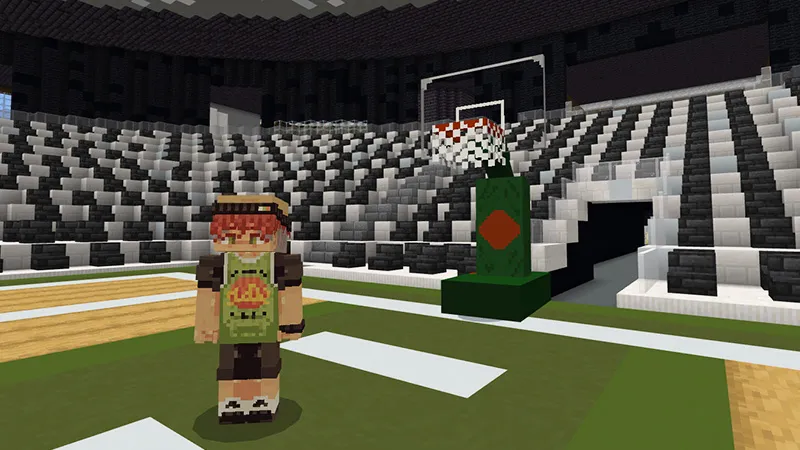 Skyblock Sports Arena