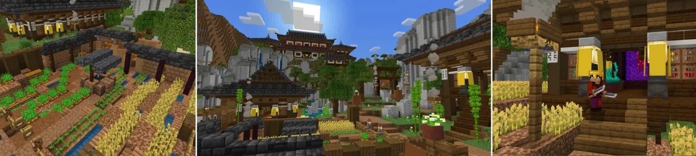 Ninja House