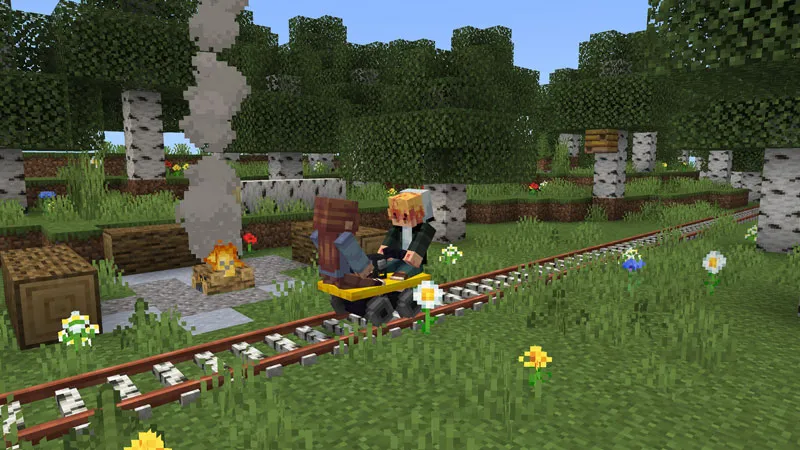TRAINS