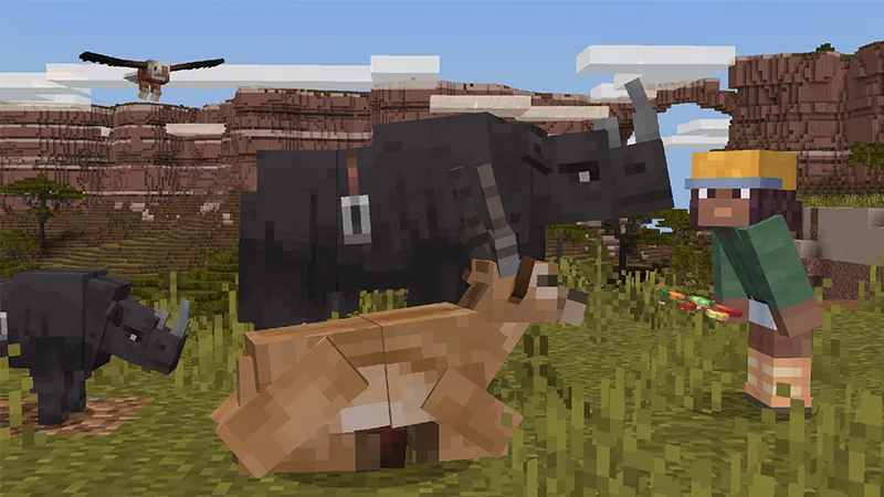 Safari Animals