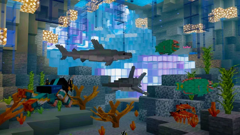 Ocean Wildlife Explorers
